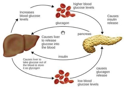 Sugar Control Li4 Acupressure Point Clip Wearable – Supporting Acupressure Relaxation, Stress Alleviation, Tension Relief And Headache Relief Hand Clip Migraine Pressure Point Clip